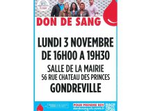 Don du sang