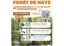 Animation à la forêt de haye