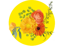 Remise des prix des maisons fleuries