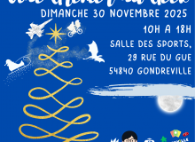 Vide grenier du Geek