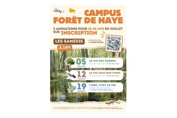 Animation à la forêt de haye