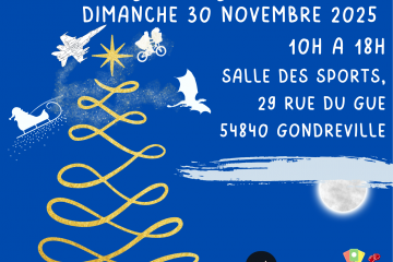 Vide grenier du Geek